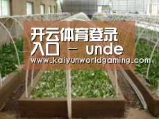环境展示五