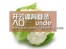 产品名称九