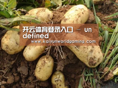 种植基地六