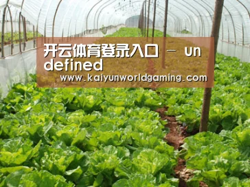 种植基地五