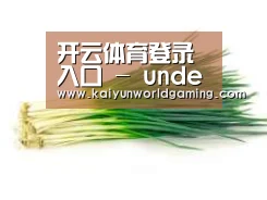产品名称二