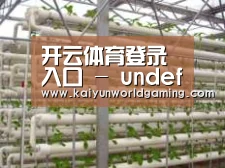 环境展示六
