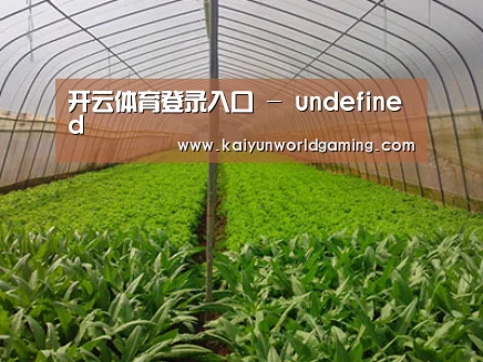 种植基地四