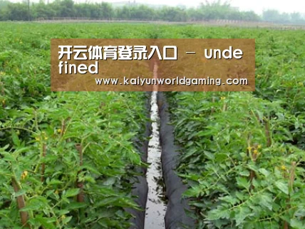 种植基地三