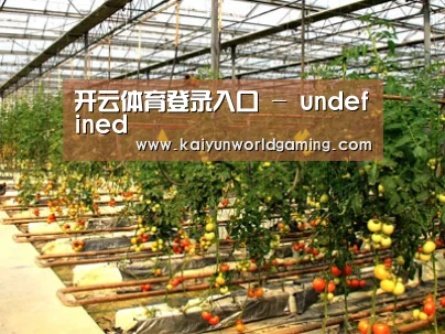 种植基地二