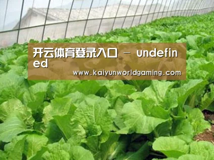 种植基地一