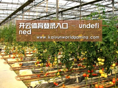 种植基地二(图1)