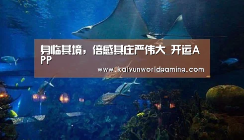身临其境,倍感其庄严伟大_开运APP(图2) 开运赛事