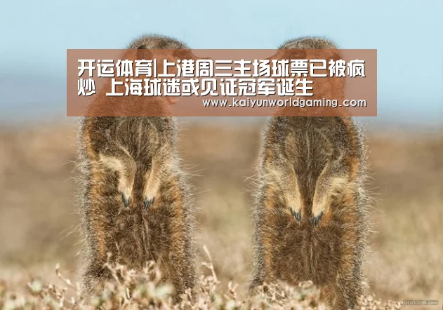 开运体育